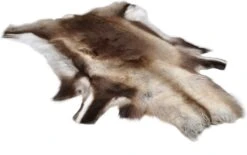 Reindeer Hide Standard