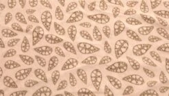 Robens Fleece Carpet Klondike S